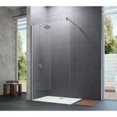 EBS Trend New Walk-In 100 cm, stříbrná