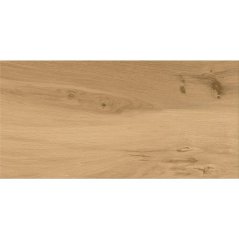 EBS Ashwood dlažba 29,7x59,8 beige