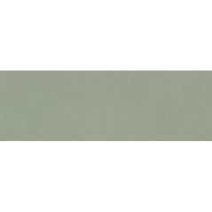 EBS Gravity obklad 40x120 sage matná