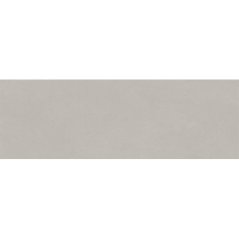 EBS Chromatic obklad 33,3x100 silver matný