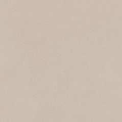 EBS Gravity dlažba 60x60 sand matná