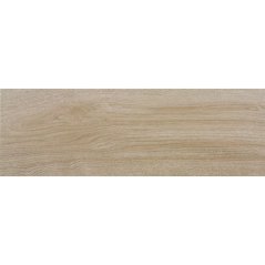 EBS Elba dlažba 20x60 musgo