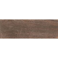 EBS Lison dlažba 20x60 antic