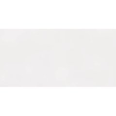 EBS Glaciar dlažba 60x120 bílá matná
