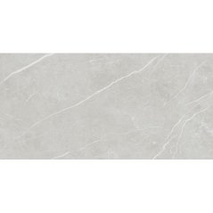 EBS Elit dlažba 60x120 silver matná