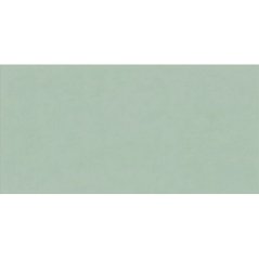 EBS Gioia obklad 60x120 salvia matný