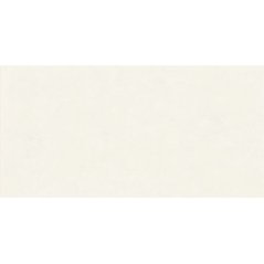 EBS Gioia obklad 60x120 latte matný